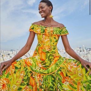 ✨NWT Farm Rio Tangerines Dress